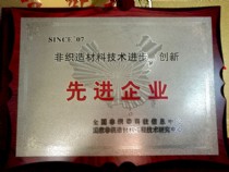 非織造材料技術進步、創(chuàng)新－先進企業(yè)