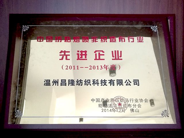 中國紡粘熔噴非織造布行業－先進企業